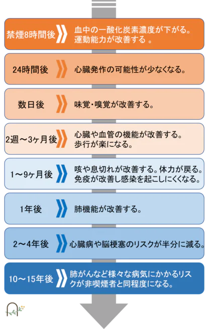 禁煙すると、どんな効果があるの？